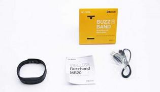 BuzzBandBox.JPG