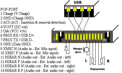 DKU-2.gif